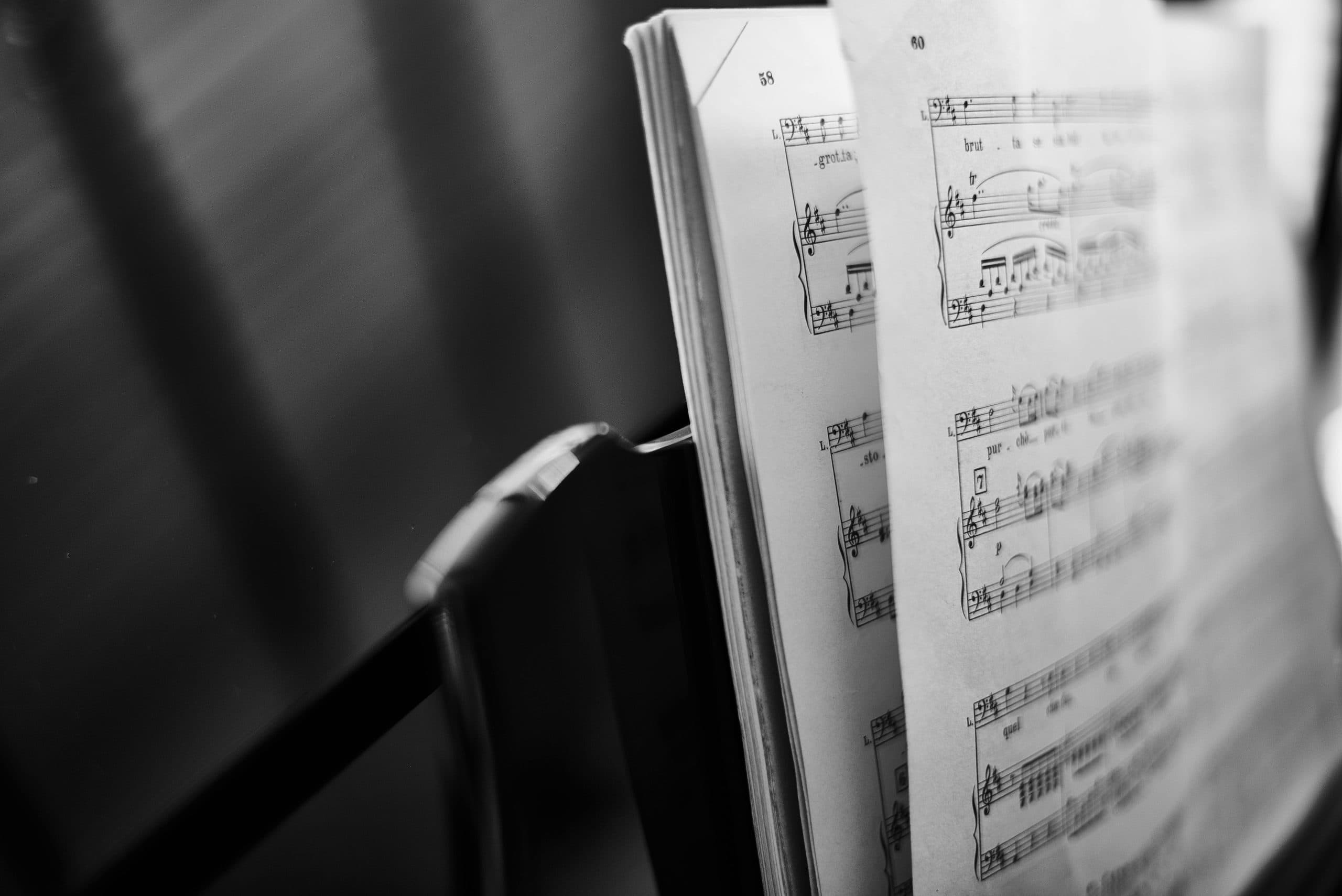 De machtige Steinway Model D